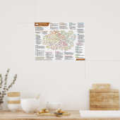 Poster 2023 Législation californienne sur le logement à p (Cuisine)