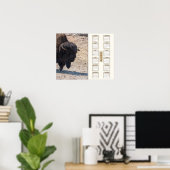 Poster 2024 - "Buffalo" (Bureau à domicile)