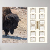 Poster 2024 - "Buffalo" (Devant)