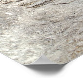 Poster 2024 - "Gila Dwelling" (Coin)