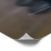Poster 20250313a49 (Coin)