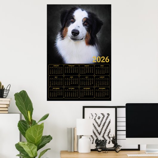 Poster 2026 Australian Shepherd Calendar  (Bureau à domicile)