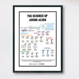 Poster 20 acides aminés avec ses caractéristiques