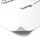 Poster 20" x 16", Tongue Reflexology Chart (Matte) (Coin)