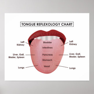 Poster 20" x 16", Tongue Reflexology Chart (Matte)