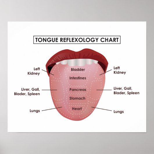 Poster 20" x 16", Tongue Reflexology Chart (Matte) (Devant)