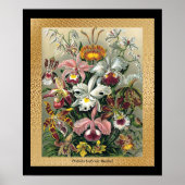 Poster 20 x 24 Noir et Or (Devant)