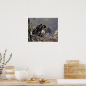 Poster 20x16 Aigle chauve avec son bébé (Cuisine)