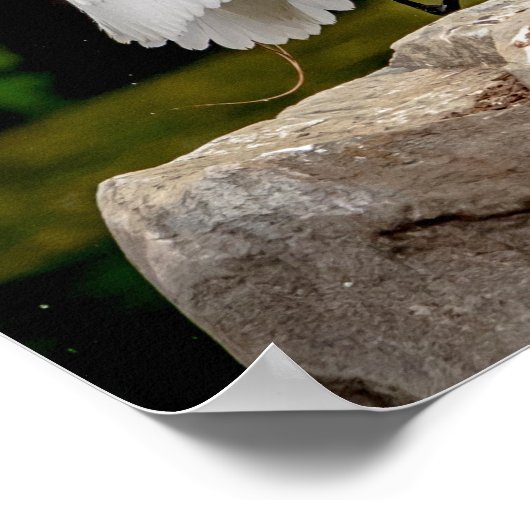 Poster 20x16 Aiguille (Coin)