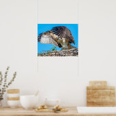 Poster 20x16 Balbuzard juvénile dans le nid (Cuisine)