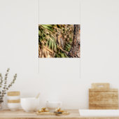 Poster 20x16 Buse à épaulettes rouge dans un arbre (Cuisine)