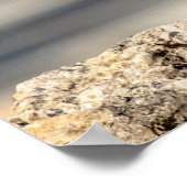 Poster 20x16 Buse à épaulettes rouge sur un rocher (Coin)