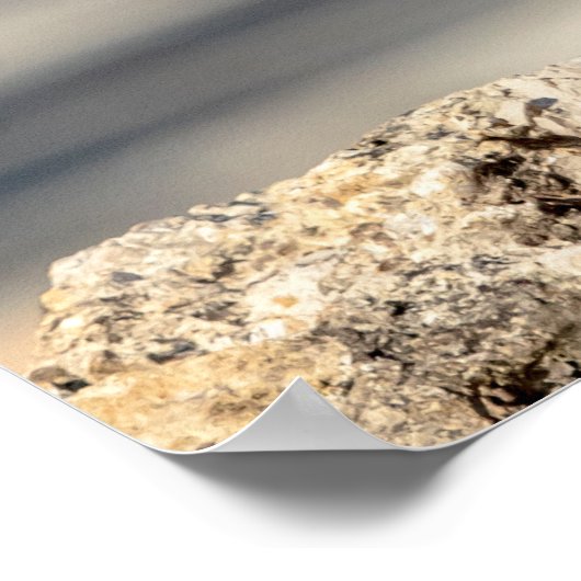 Poster 20x16 Buse à épaulettes rouge sur un rocher (Coin)