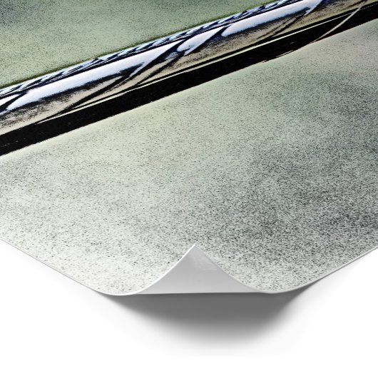 Poster 20x16 Buse à queue rouge immature (Coin)