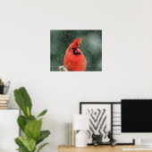 Poster 20x16 Cardinal dans un pin pendant une tempête de (Bureau à domicile)