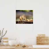 Poster 20x16 Chipmunk mangeant une cacahuète (Cuisine)