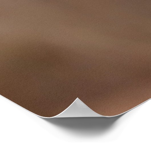 Poster 20x16 Chouette à oreilles courtes en vol (Coin)