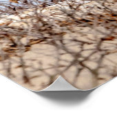 Poster 20x16 Chouette neige assise sur la plage (Coin)