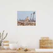 Poster 20x16 Chouette neige assise sur la plage (Cuisine)