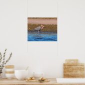 Poster 20x16 Egret rouge sur North Beach (Cuisine)