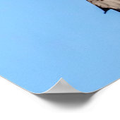 Poster 20x16 Harrier nord (Coin)