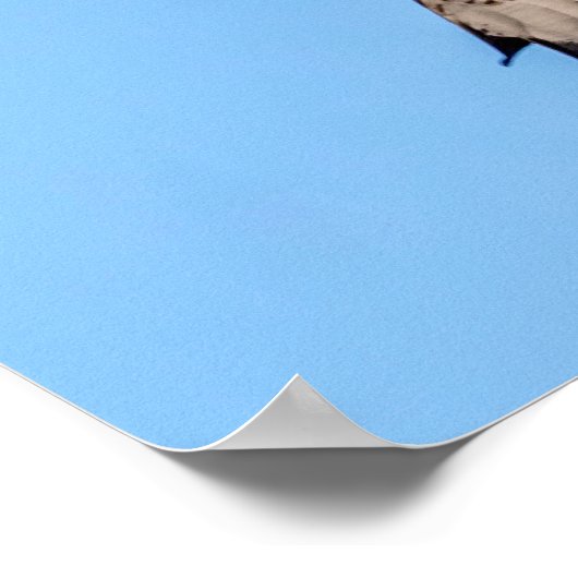 Poster 20x16 Harrier nord (Coin)