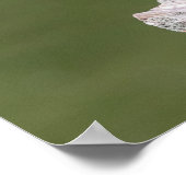 Poster 20x16 Heron Vert sur un log (Coin)