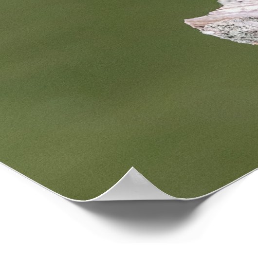 Poster 20x16 Heron Vert sur un log (Coin)