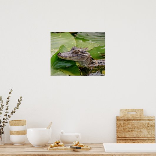 Poster 20x16 Jeune Alligator (Cuisine)