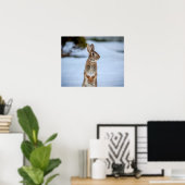 Poster 20x16 Lapin dans la neige (Bureau à domicile)