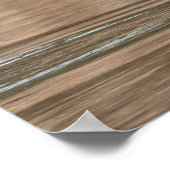 Poster 20x16 Mallard Canard en vol (Coin)