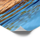 Poster 20x16 Muskrat dans les fermes de Vassar Réserve éc (Coin)