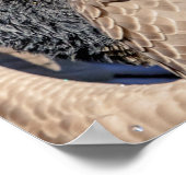 Poster 20x16 Oie du Canada (Coin)