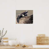 Poster 20x16 Oie du Canada (Cuisine)