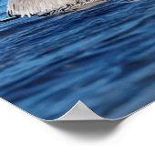 Poster 20x16 Paire de pélicans (Coin)