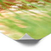 Poster 20x16 Portrait d'un faon (cerf de Virginie) (Coin)