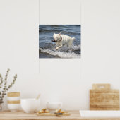 Poster 20x16 Shepard allemand blanc sur le lac George (Cuisine)