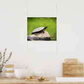 Poster 20x16 Tortue peinte sur un log (Cuisine)