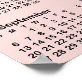 Poster 20x28 Photo Blush 2026 Calendar (Coin)