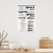 POSTER - 20x30 - CAVIAIRE STURGEON VAN DE WERELD (Keuken)