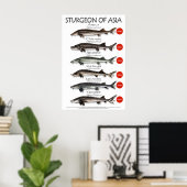 POSTER - 20x30 - STURGEON VAN AZIË (Thuiskantoor)