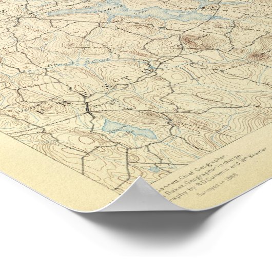 Poster 22 Feuille Moosup (Coin)