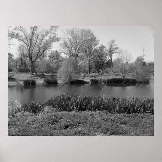 Poster 22 mars (13) Toile (Devant)