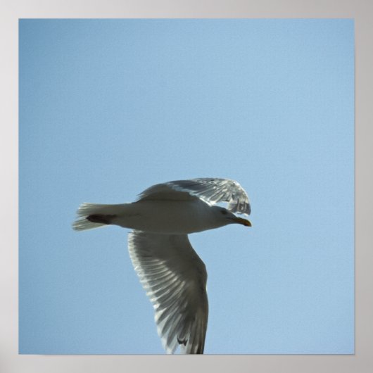 POSTER 2367 (Devant)