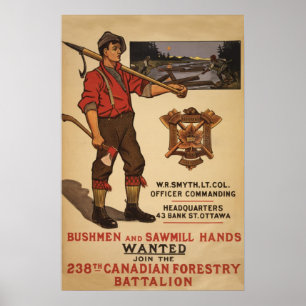 Poster 238th Bataillon canadien 1915 de sylviculture