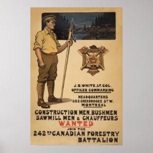 Poster 242nd Sylviculture canadienne Battalion1915
