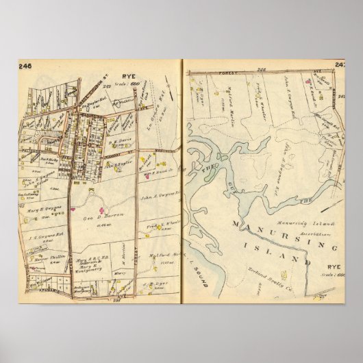 Poster 246247 Seigle (Devant)