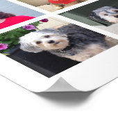 Poster 24 Photo Collage avec nom de famille Date - Blanc (Coin)