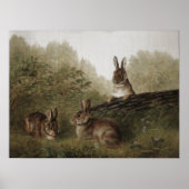 Poster 24 x 18 '' Peinture Vintage de lapin (Devant)