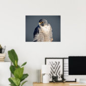 Poster 24x18 Faucon pèlerin le long de la rivière Hudson (Bureau à domicile)